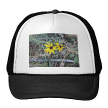 Black Eyed Susan 001 Rocky Mountain Arsenal 2012.J Trucker Hats