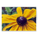 Black Eyed Susan 1 Greeting Card