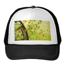 Black-Eyed Susan and Wagon Wheel Photo Mesh Hat