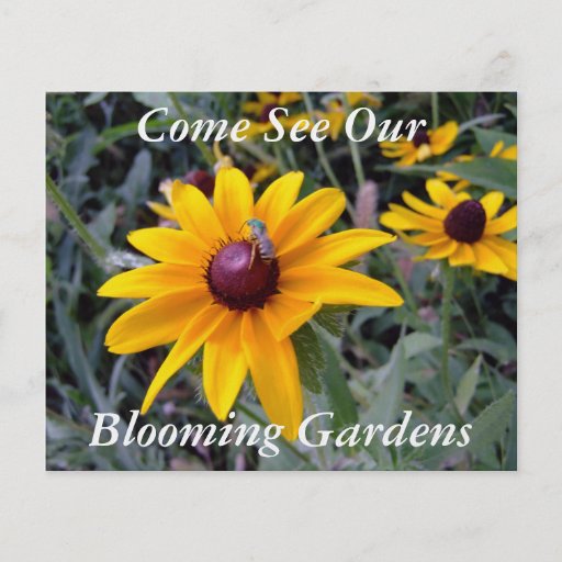 Black-Eyed Susan Botanical Garden Tours Flyer