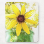 Black Eyed Susan Bouquet Mousepads