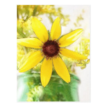 Black Eyed Susan Bouquet Post Card