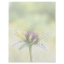 Black Eyed Susan Bud And The Old Oak Letterhead