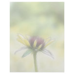 Black Eyed Susan Bud And The Old Oak Letterhead