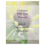 Black Eyed Susan Bud flyers