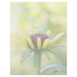 Black Eyed Susan Bud In Profile Customized Letterhead