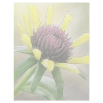 Black Eyed Susan Bud Custom Letterhead