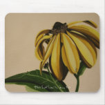 "Black Eyed Susan" by Jenny Koch Mouse Pads
