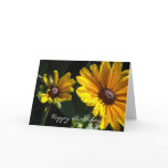 Black Eyed Susan Daisies Birthday Cards