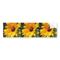Black Eyed Susan Flower Bumper Sticker Car Art bumper stickers