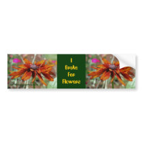 Black Eyed Susan Flower Bumper Sticker Car Art bumper stickers by SmilinEyesTreasures Black Eyed Susan Flower Bumper Sticker Car Art bumper stickers