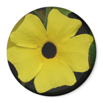 Black Eyed Susan magnets