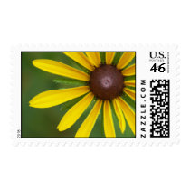 Black-Eyed Susan Medium postage