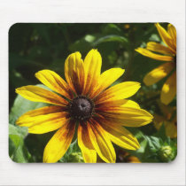 Black Eyed Susan mousepads