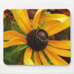 Black Eyed Susan Mouse Pads
