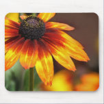 Black Eyed Susan Mousepad mousepads