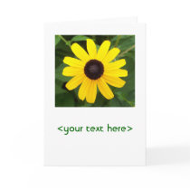 Black-eyed Susan note card