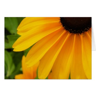 Black Eyed Susan Note Card