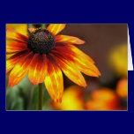 Black Eyed Susan - Note Card (Blank inside) cards