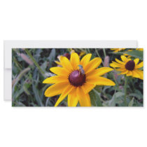 Black-Eyed Susan Photo Bookmark Custom Rack Cards