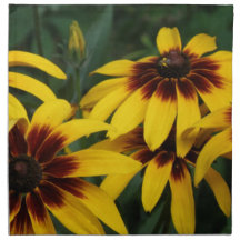 Black Eyed Susan Photo Set of Four Napkin