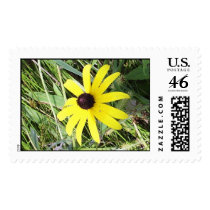 Black-eyed Susan postage