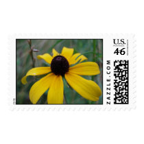 Black-eyed Susan postage