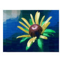 Black-eyed Susan posters