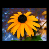Black Eyed Susan Print