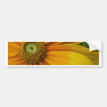 Black-eyed Susan’s, Rudbeckia hirta “Prairie Sun” Bumper Sticker