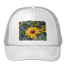 Black-Eyed Susan Solid White Hat