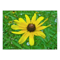 Black-Eyed Susan Wildflower Coordinating Items Greeting Card