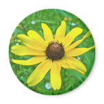 Black-Eyed Susan Wildflower Coordinating Items Refrigerator Magnets