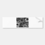 Black-Eyed Susans Bumper Stickers