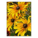 Black Eyed Susans Card by ggbythebay Black Eyed Susans Card
