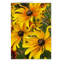 Black Eyed Susans Card by ggbythebay Black Eyed Susans Card