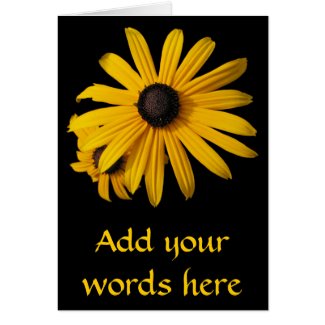 Black-eyed Susans