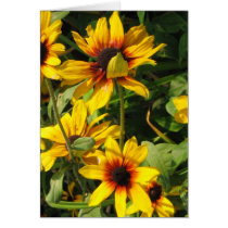 Black Eyed Susans cards by ChargePlus Black Eyed Susans cards