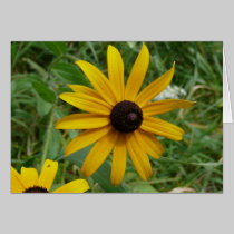 Black Eyed Susans cards