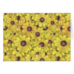 Black Eyed Susans Everywhere Cards