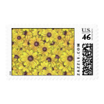 Black Eyed Susans Everywhere Postage