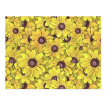 Black Eyed Susans Everywhere Postcards