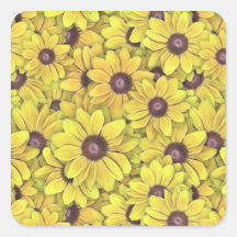 Black Eyed Susans Everywhere Sticker