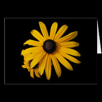 Black-eyed Susans cards