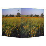 Black eyed Susans in tallgrass prairie at Neil binders