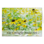 Black Eyed Susans in the Summer Meadow cards