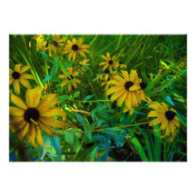 Black-Eyed Susans Invitation