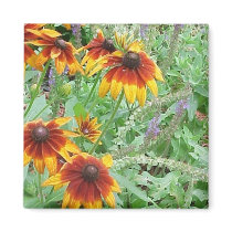 Black-Eyed Susans Magnet