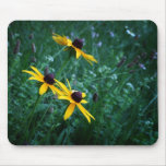 Black Eyed Susans Mouse Mats