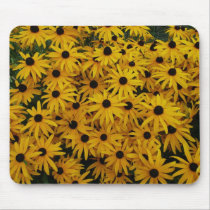 Black Eyed Susans mousepads